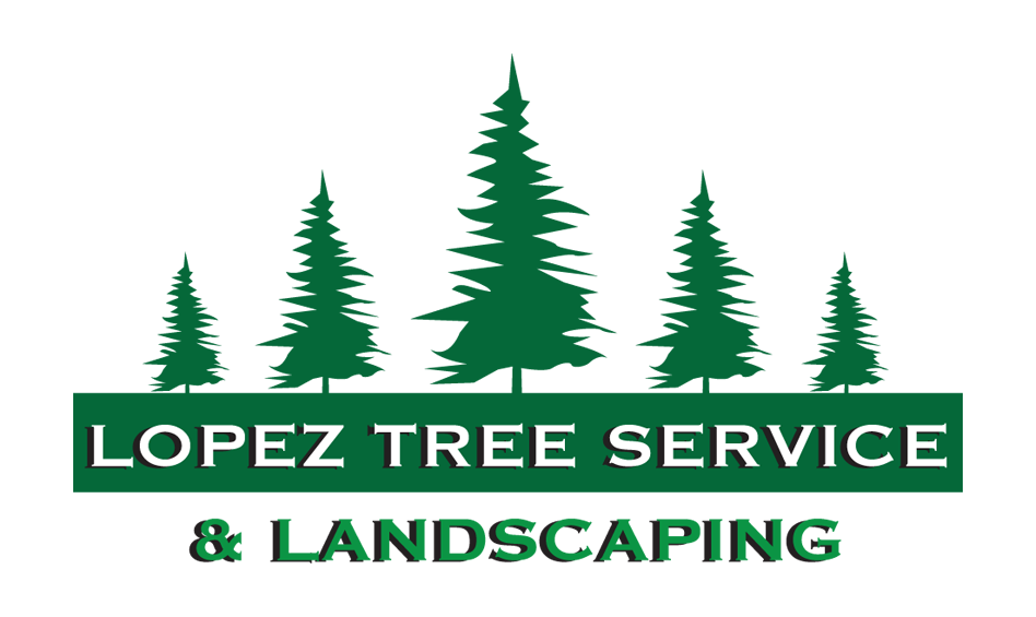 Lopez Tree Service & Landscaping